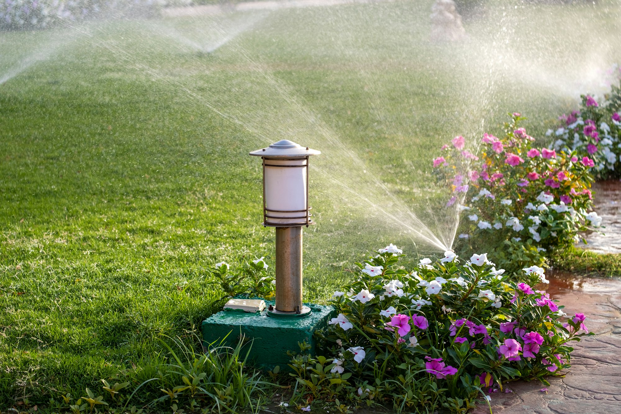 Plastic sprinkler irrigating flower bed on grass lawn with water in summer garden. Watering green